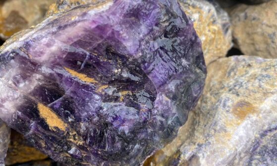IMG-20230410-WA0013