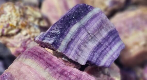 WhatsApp Image 2024-02-08 at 10.16.25