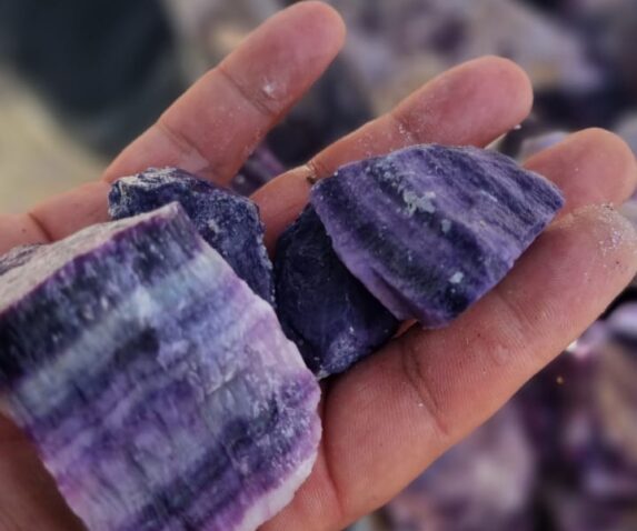 WhatsApp Image 2024-02-08 at 10.17.58